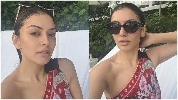 Hansika Motwani divorce instagram