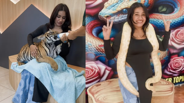 Raveena Daha gives milk to Tiger Cub and played with Crocodile photos trending