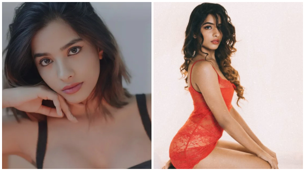 Bigg Boss season 9 Diwakar Aurora Sinclair