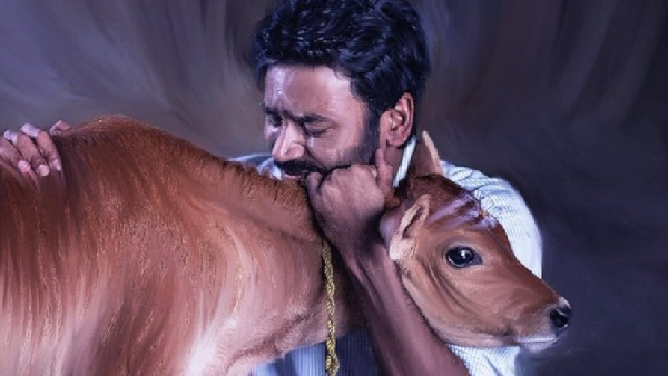 Idli Kadai Monday Ticket Booking status seems very dull but Kantara Chapter 1 picked well