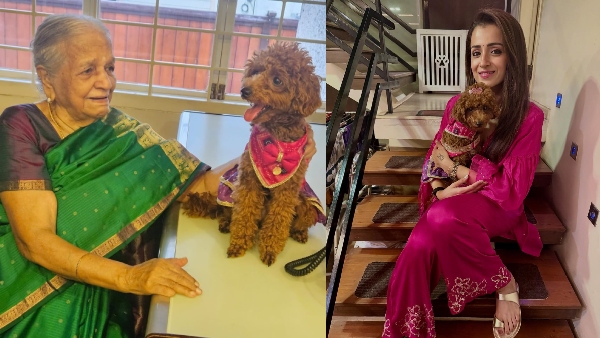 Trisha Shares Her Diwali Celebration Photos With Her Pet Animal And Grand Mother