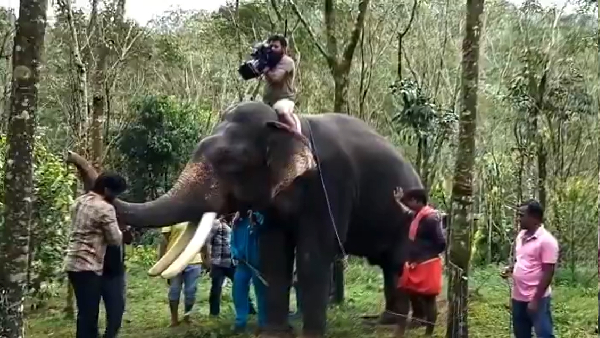 Kumki 2 Shooting Spot Video elephant Attacks Hero Mathi Shocking Video Goes Trending