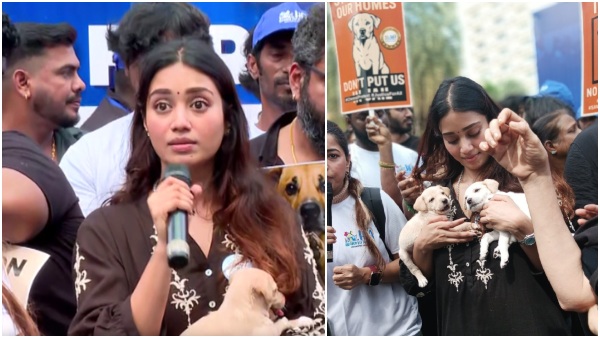 Dog Nivetha Pethuraj Dog Nivetha Pethuraj