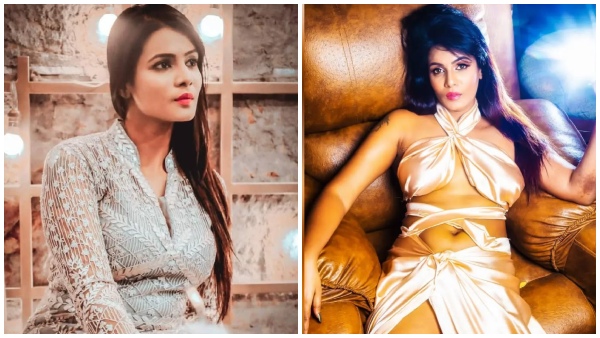 Meera mithun case Meera mithun case