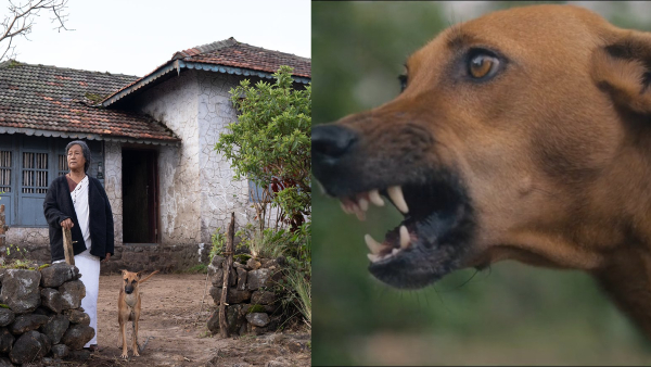 OTT Gem Eko Review in Tamil A worthwatching suspense thriller