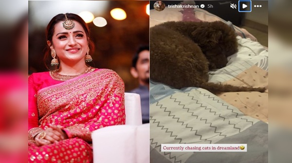 Trisha s Dreamland Instagram Post Sparks Reactions During Vijay Sangeetha Row