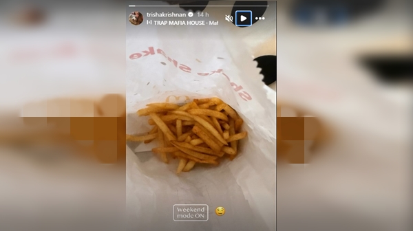 Amid Vijay Divorce Row Trisha s Weekend Post Triggers Fans Reactions