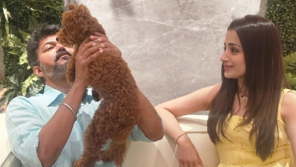 Trisha Krishnan Quits Cinema Claim by Chitra Lakshmanan Sparks Debate Is It for Vijay Trisha Krishnan Quits Cinema Claim by Chitra Lakshmanan Sparks Debate Is It for Vijay