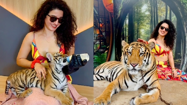 Bigg Boss Tamil 9 Contestant Kemi s Bold Side Wins Hearts Feeds Tiger Cub Shares Viral Photos amp amp Videos