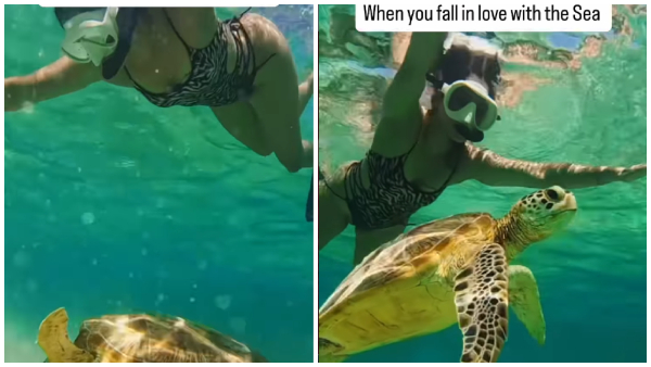 Bigg Boss varshini venkat