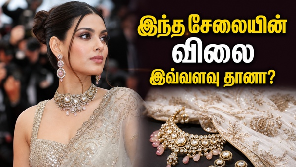 Diana Penty Cannes 2026 Saree Price Decoding the Cost of Her Stunning Manish Malhotra Look and Luxury Jewelry Collection Diana Penty Cannes 2026 Saree Price Decoding the Cost of Her Stunning Manish Malhotra Look and Luxury Jewelry Collection