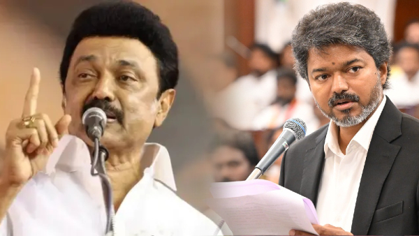 TVK Is Not a Pure Force It s an MLA-Pulling Force Ex CM M K Stalin Attacks Vijay Govt
