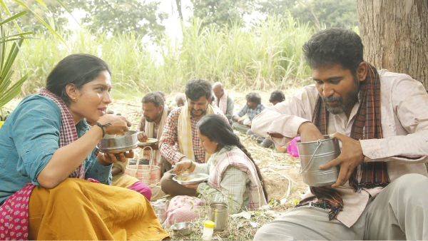 Vijay Antony s Nooru Saami Day 5 Box Office Collection also very dull Vijay Antony s Nooru Saami Day 5 Box Office Collection also very dull