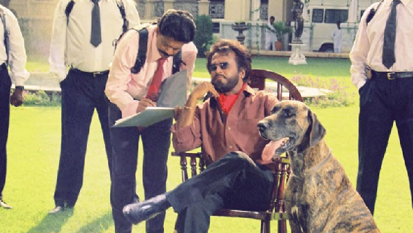 Fun Roast Review Gen Z Trolls Rajinikanth s Baashha Questions Logic Behind the Cult Classic Fun Roast Review Gen Z Trolls Rajinikanth s Baashha Questions Logic Behind the Cult Classic