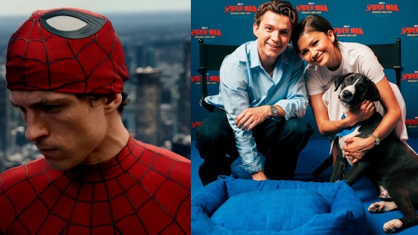Spider-Man Brand New Day Advance Booking Shatters Records Can Tom Holland s Film Beat Endgame