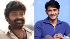 మహేష్ బాబు సినిమా వదిలేసిన రాజశేఖర్.. ఆ మూవీ చేసింటే రేంజ్ వేరేలా ఉండేది!