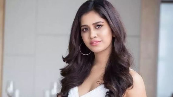 Nabha Natesh: ఇస్మార్ట్ భామ నభా నటేష్ కి యాక్సిడెంట్.. రెండు చోట్ల ఎముక విరగడంతో అలా!