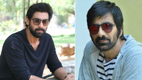 బాలీవుడ్ స్టార్ హీరోతో రవితేజ మల్టీస్టారర్.. నిర్మాతగా రానా దగ్గుబాటి.. దర్శకుడు ఎవరంటే? 