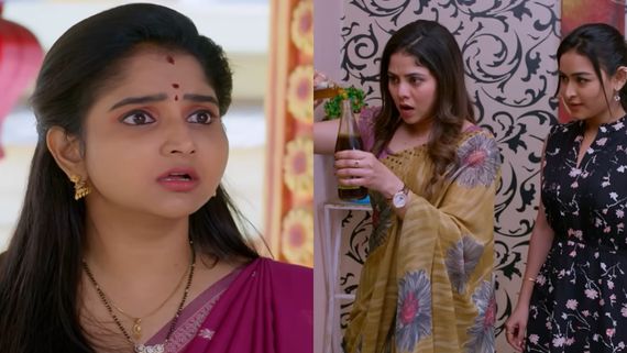 Brahmamudi December 31st Episode:  రాహుల్‌పై అప్పూ అనుమానం... రేఖతో రాజ్ పెళ్లికి రుద్రాణి- రాహుల్ కుట్ర