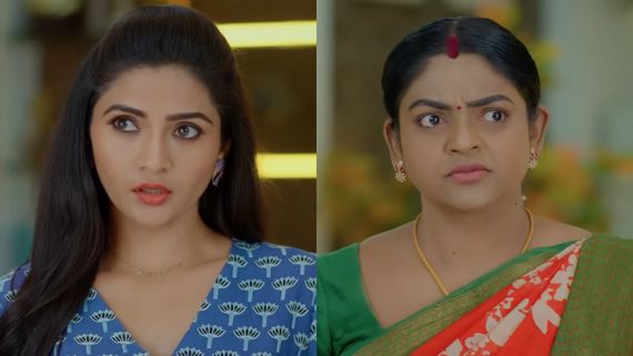 Karthika Deepam 2 December 11th: కార్తీక్‌కి అండగా నిలిచిన పారిజాతం... షాక్‌లో జ్యోత్స్న, పీఏగా కాశీ విరక్తి