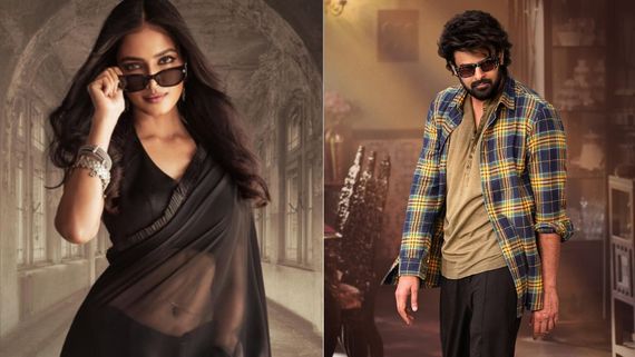 The Rajasaab: ప్రభాస్‌తో నటించడం విధిరాతే.. ఆ సినిమా ఛాన్స్ పోయినా ఇలా కల నెరవేరింది!