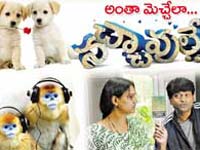 Nachchavule Nachchavule