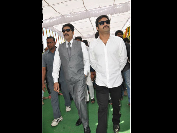 ఒకే వేదికపై ఎన్టీఆర్ క్లాప్..కెసీఆర్ పూజ ( ఫోటోలతో...)