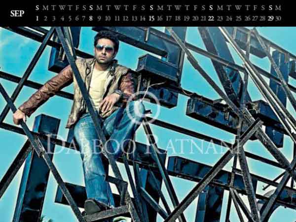 సినీ స్టార్స్ హాట్ అండ్ సెక్స్ క్యాలెండర్-2013(ఫోటోలు)