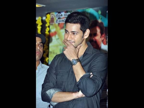 మెరిసిన మహేష్...‘సీతమ్మ వాకిట్లో...’సక్సెస్ మీట్ (ఫోటోలు)