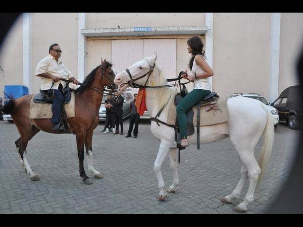 హాట్ ఇలియానా గుర్రం సవారి(ఫోటో ఫీచర్)