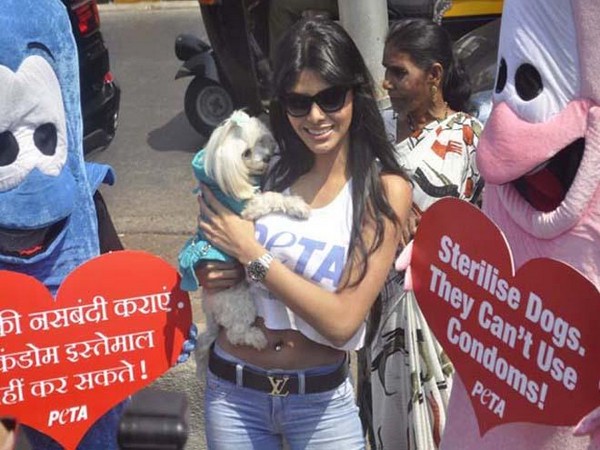  అవి కండోమ్స్ వాడలేవంటూ...హ్యాట్ బ్యూటీ ప్రచారం(ఫోటోలు)