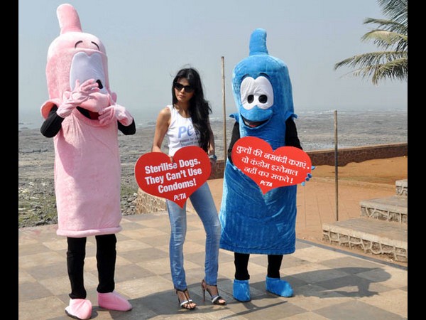  అవి కండోమ్స్ వాడలేవంటూ...హ్యాట్ బ్యూటీ ప్రచారం(ఫోటోలు)