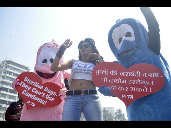  అవి కండోమ్స్ వాడలేవంటూ...హ్యాట్ బ్యూటీ ప్రచారం(ఫోటోలు)