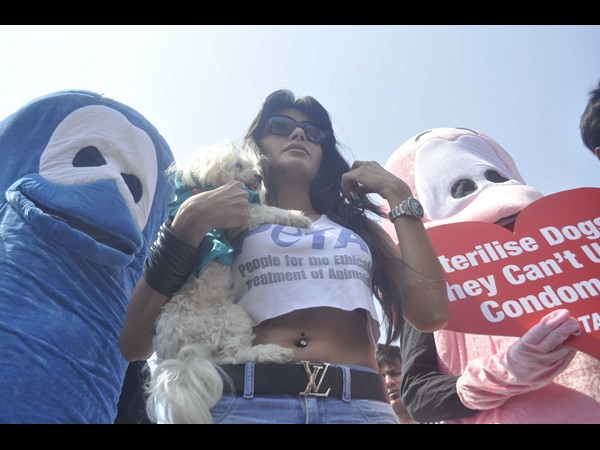  అవి కండోమ్స్ వాడలేవంటూ...హ్యాట్ బ్యూటీ ప్రచారం(ఫోటోలు)