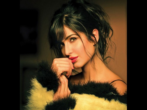 క్రతినా కైఫ్, సెక్సీనెస్ కేరాఫ్...(హాట్ ఫోటోస్)