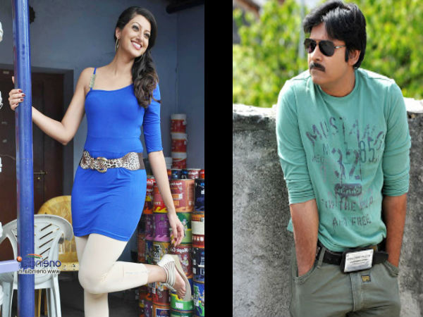 Hamsa Nandini to join with Pawan Kalyan Hamsa Nandini to join with Pawan Kalyan