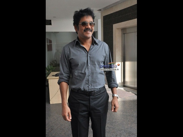 యాక్షన్ ఎంటర్‌టైనర్‌లపైనే ...