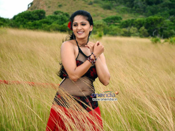 బాలీవుడ్ అవకాశాలు