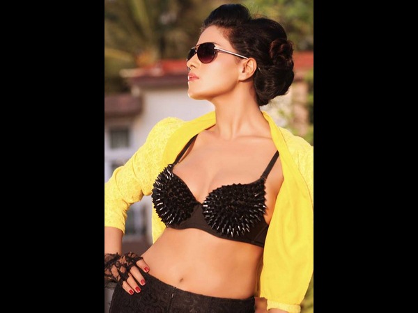 ముళ్లతో కూడిన బ్రా