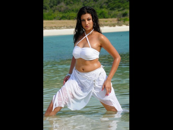 హంసా నందిని