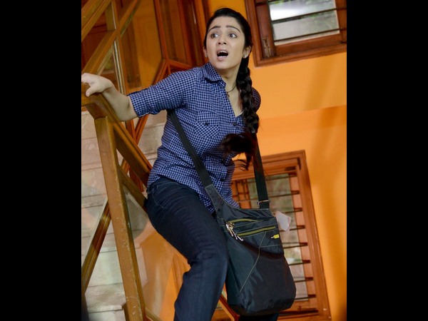 ఉచితంగా పని చేస్తున్నారు