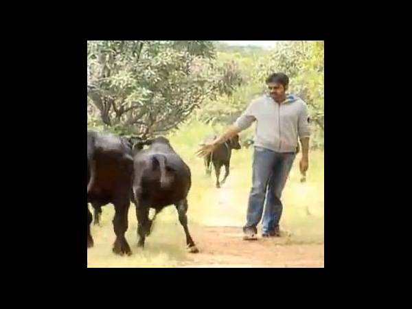 సినిమాల కంటే...