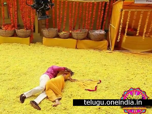 వాణి కపూర్ ఏమంది?