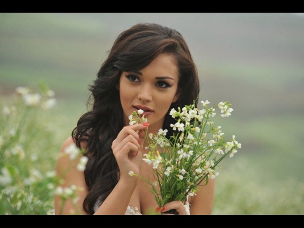 ఫైట్స్ స్పెషల్