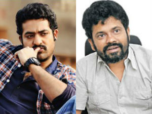 NTR 25th film for Director Sukumar! NTR 25th film for Director Sukumar!
