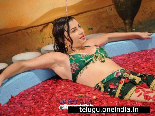 తిప్పాజీ సర్కిల్ చిత్రంలో ఉక్రెయిన్ బ్యూటీ