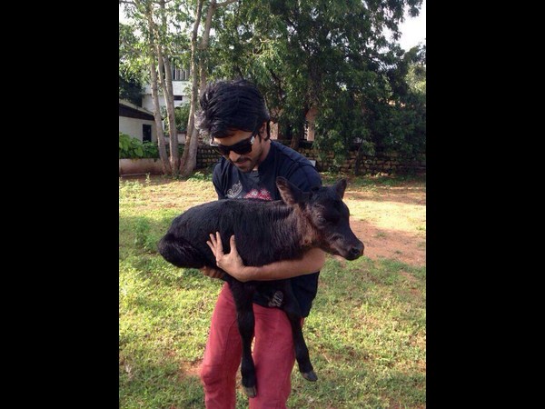 ఎవరెవరు..