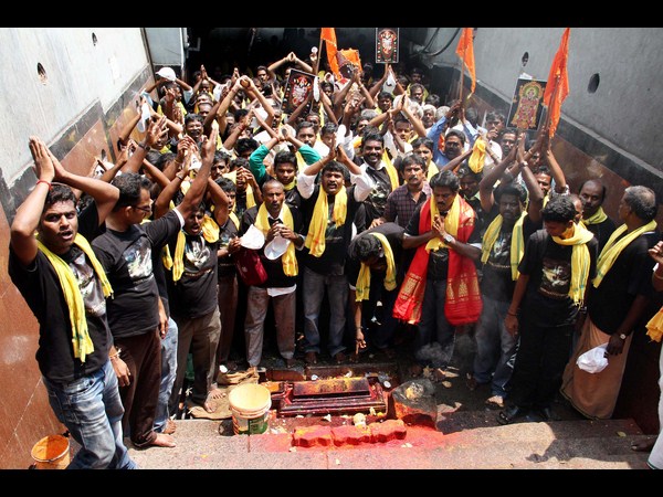 సామాజిక సేవ సైతం...