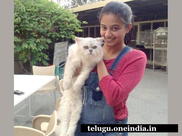 ప్రియమణి సినిమాలు