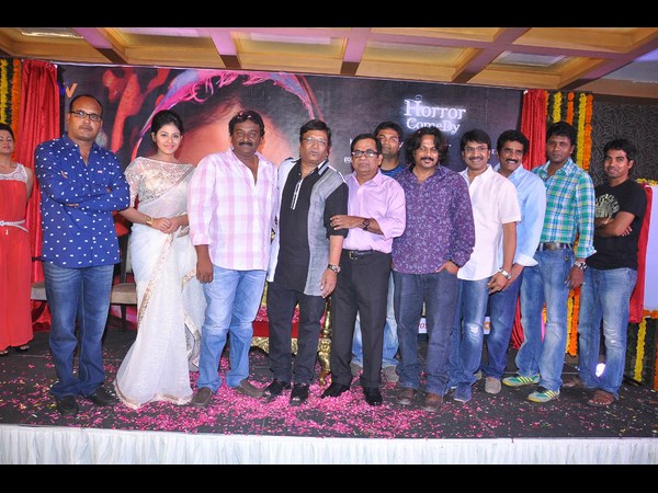 దర్శకుడు మాట్లాడుతూ...